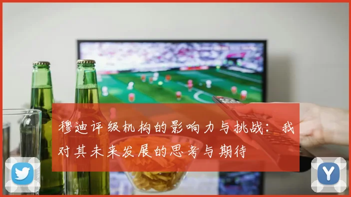 穆迪评级机构的影响力与挑战：我对其未来发展的思考与期待