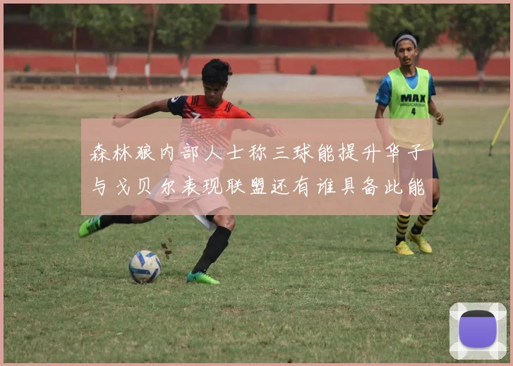 森林狼内部人士称三球能提升华子与戈贝尔表现联盟还有谁具备此能力